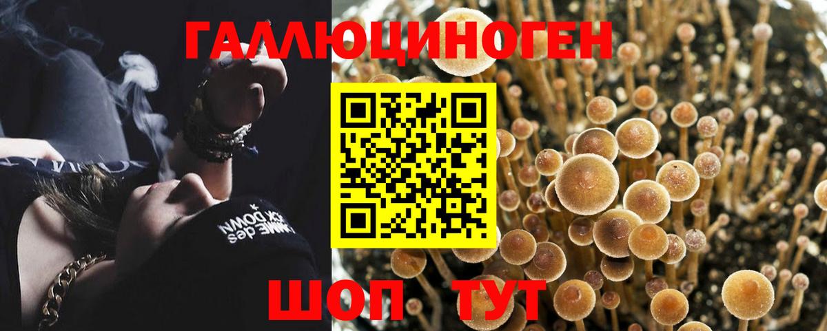 Красноуфимск  Галлюциногенные грибы MAGIC MUSHROOMS  Псилоцибиновые грибы Psilocybe  Вход с VPN 